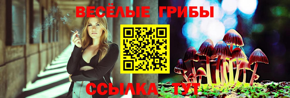 Галлюциногенные грибы Psilocybe  Вход с VPN  Югорск 